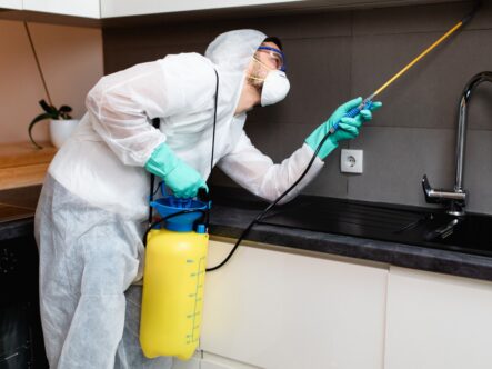 a person wearing protective gear and spraying under the kitchen chimney.